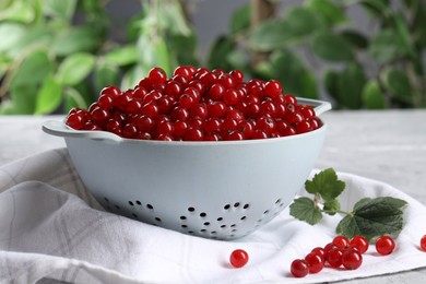 Ripe red currants in colander and leaves on grey table