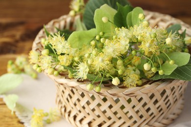 Photo of Fresh linden leaves and flowers in wicker basket on wooden table, closeup