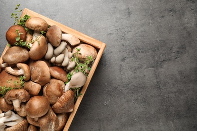 Photo of Different wild mushrooms in wooden crate on grey background, top view. Space for text