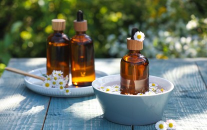 Photo of Bottles of chamomile essential oil and flowers on grey wooden table, space for text