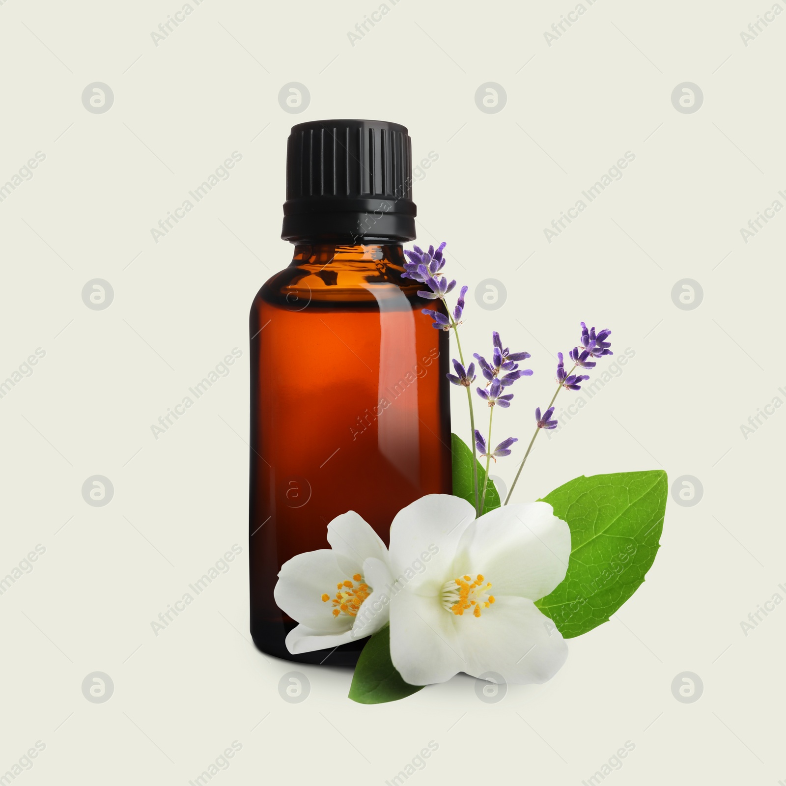 Image of Bottle of lavender jasmine essential oil, green leaves and flowers on light background