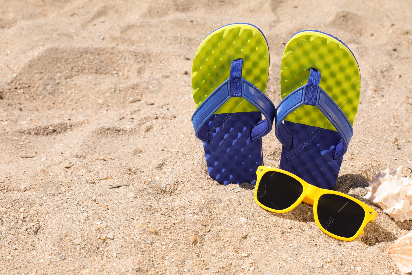 Photo of Stylish flip flops, sunglasses and seashells on sand, space for text
