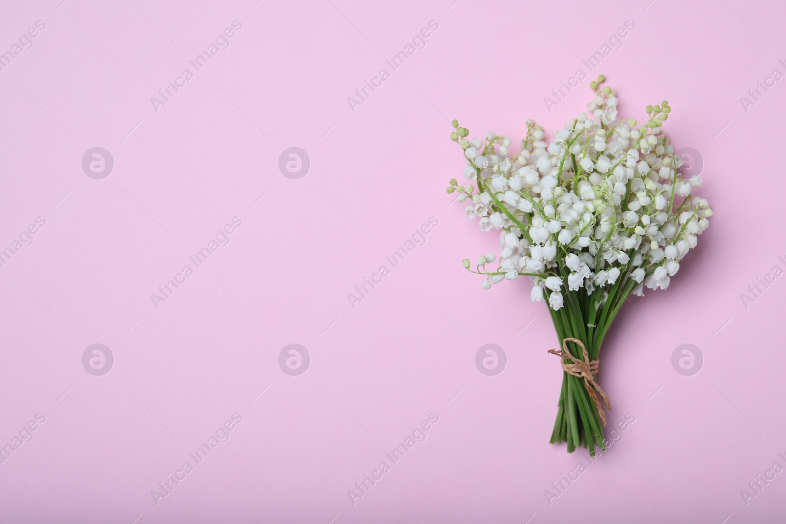 Photo of Beautiful lily of the valley flowers on pink background, top view. Space for text