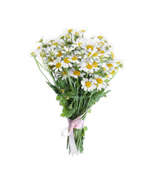 Beautiful fresh chamomile bouquet isolated on white