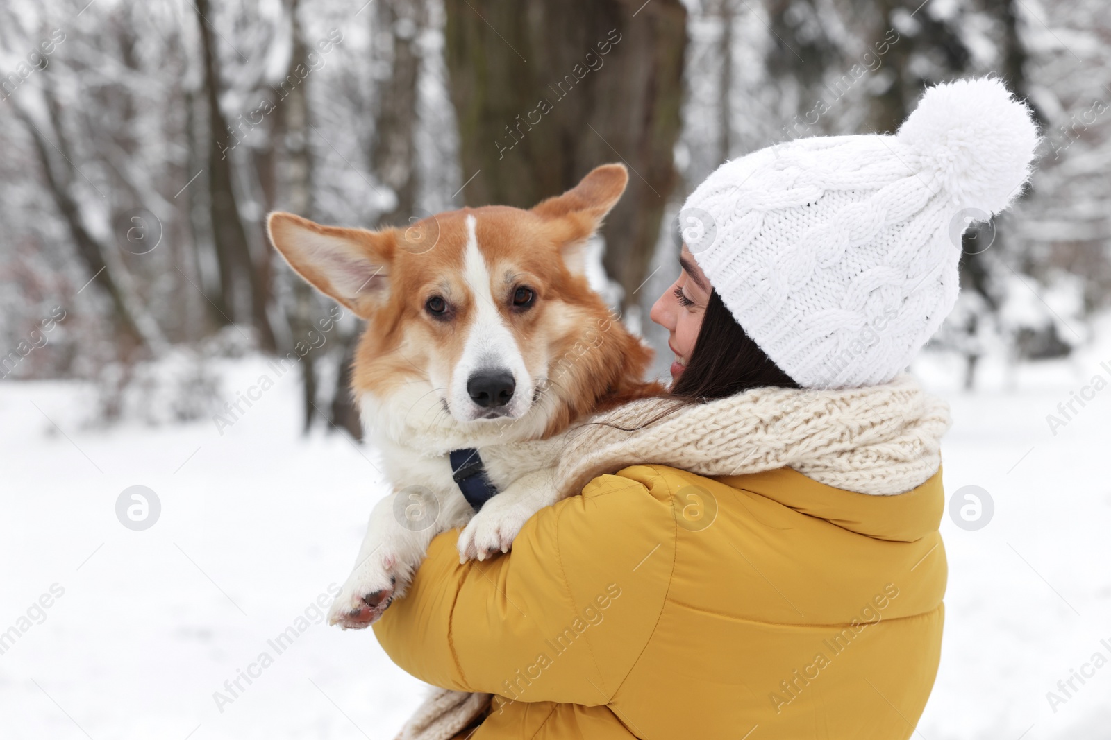 Photo of Woman with adorable Pembroke Welsh Corgi dog in snowy park