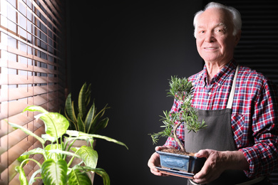 Photo of Senior man with Japanese bonsai plant near window indoors, space for text. Creating zen atmosphere at home