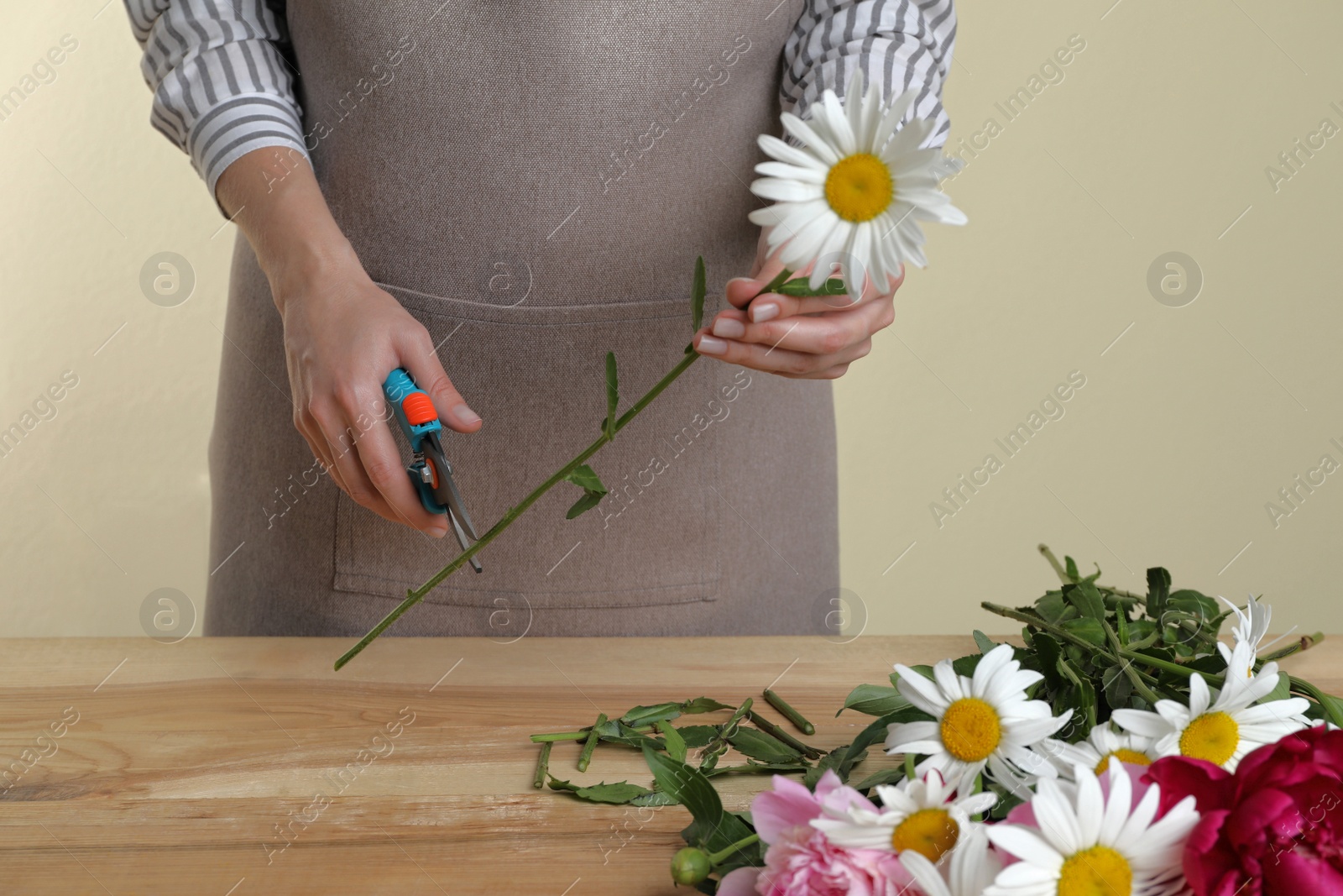 Photo of Florist cutting flower stem with pruner at workplace, closeup