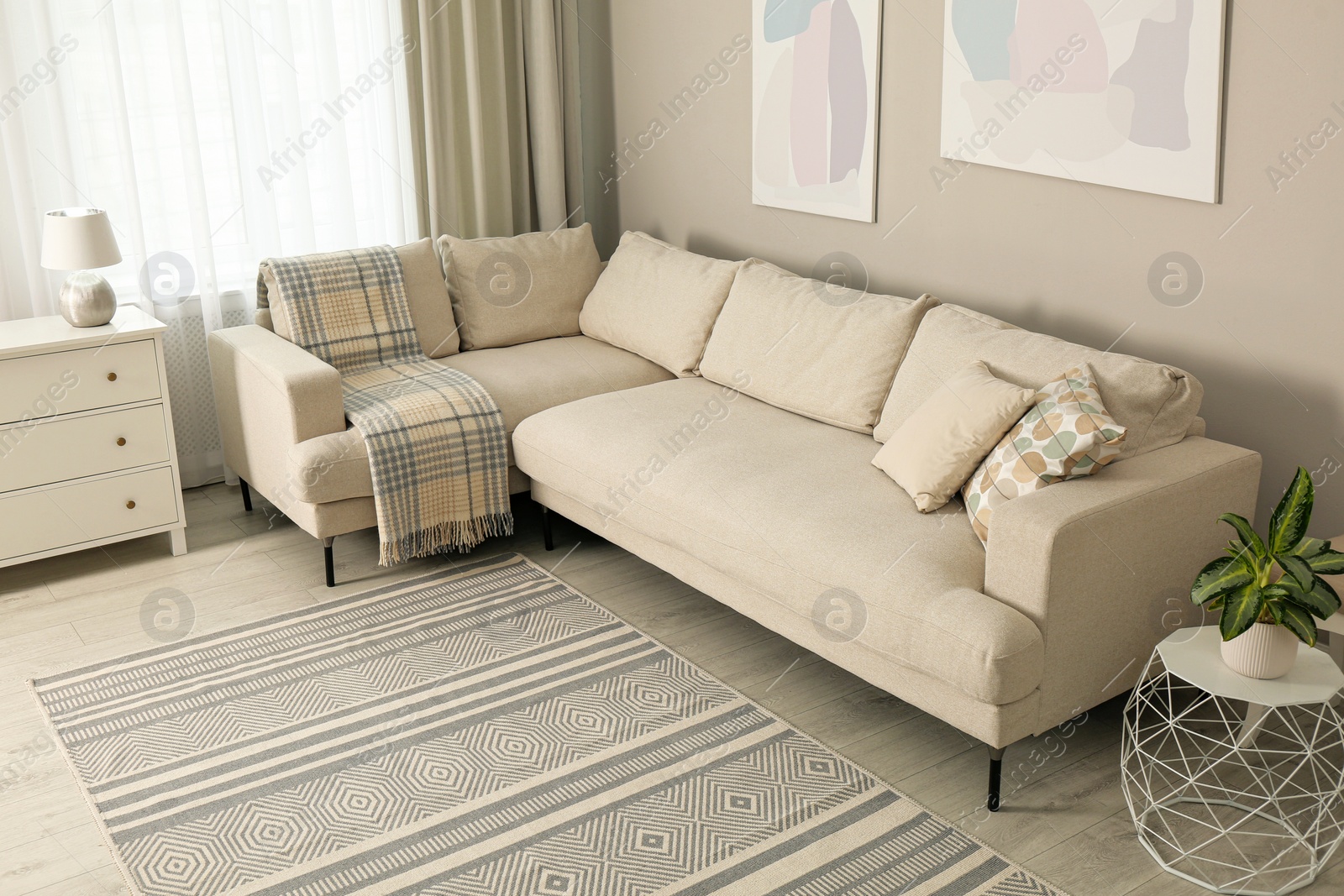 Photo of Living room interior with stylish rug and furniture, above view