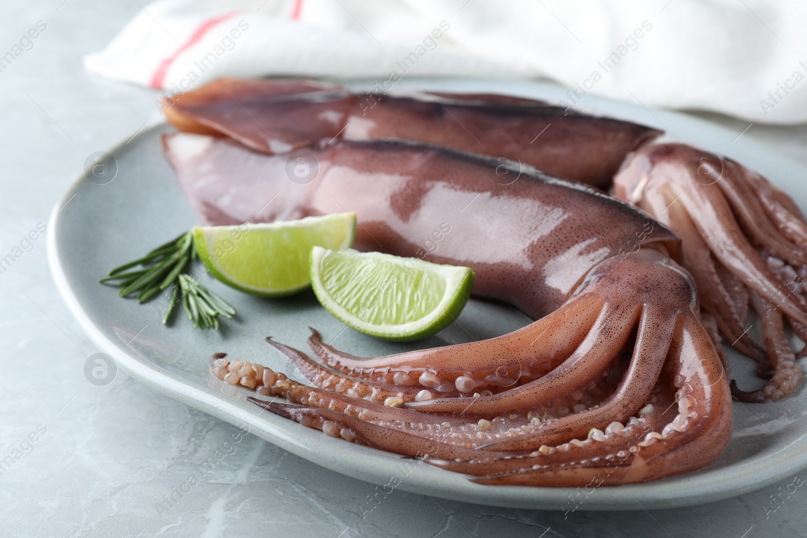 Photo of Fresh raw squids with lime and rosemary on light marble table, closeup