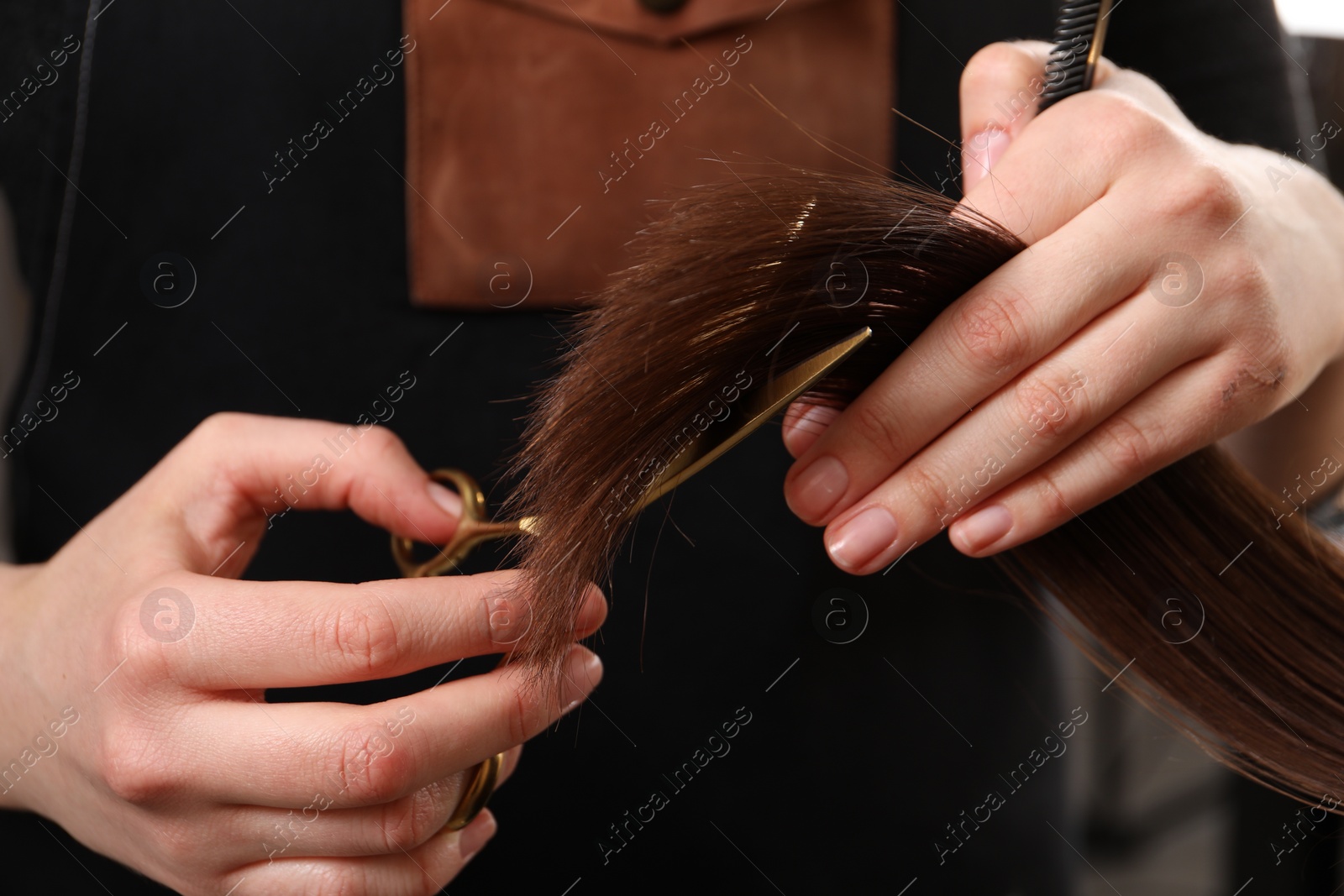 Photo of Hairdresser cutting client's hair with scissors in salon, closeup