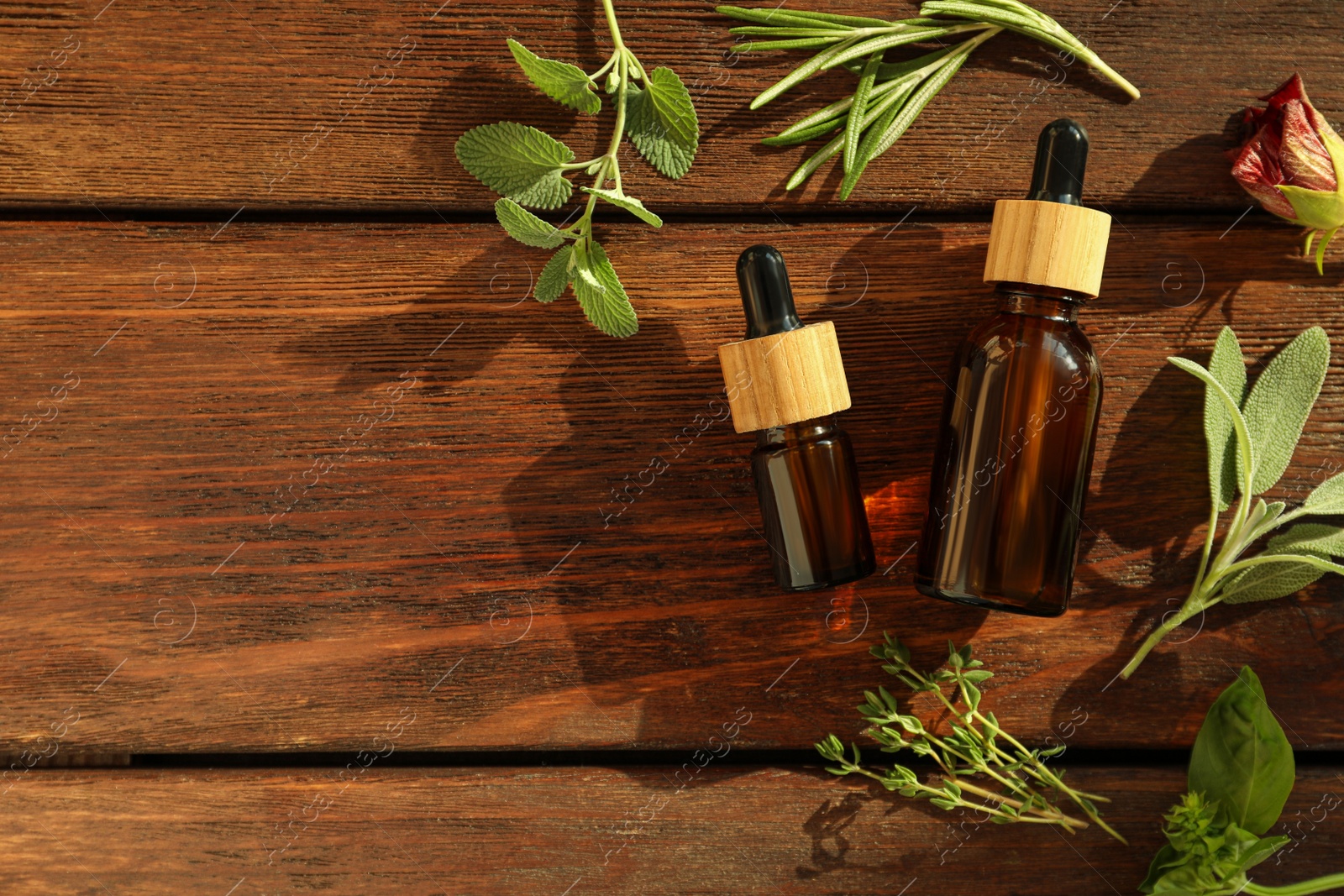 Photo of Bottles of essential oil and fresh herbs on wooden table, flat lay. Space for text