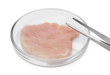 Photo of Petri dish with piece of raw cultured meat and tweezers on white background