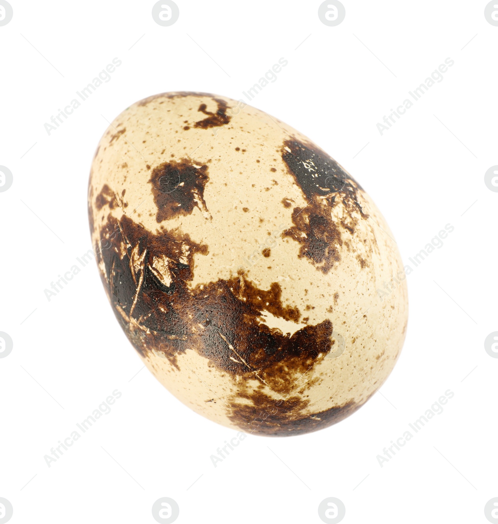 Photo of One speckled quail egg isolated on white, top view