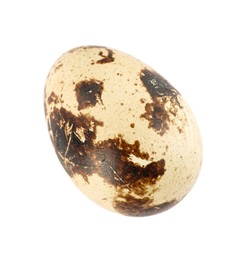 Photo of One speckled quail egg isolated on white, top view