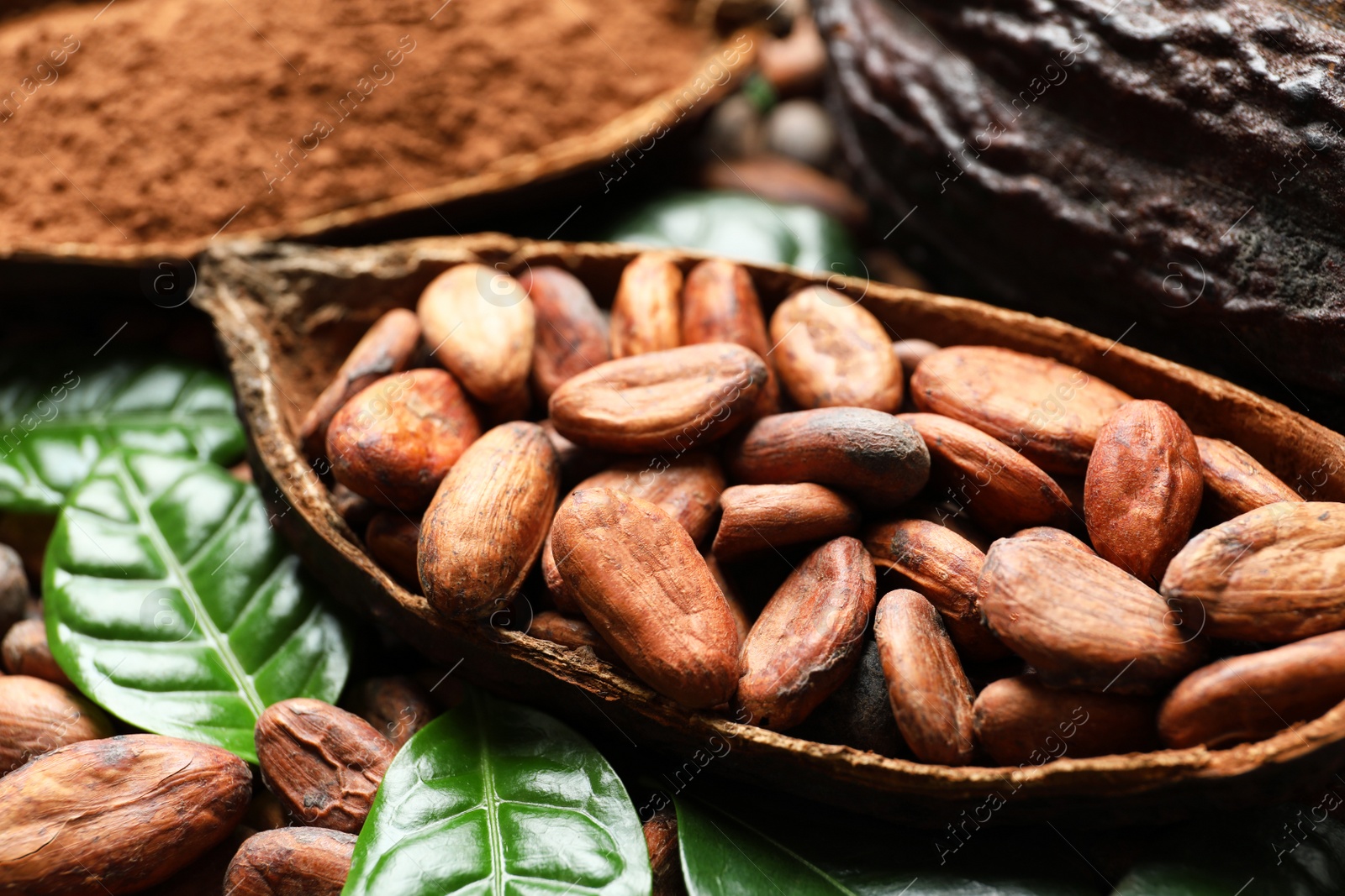 Photo of Cocoa pod with beans and leaves, closeup