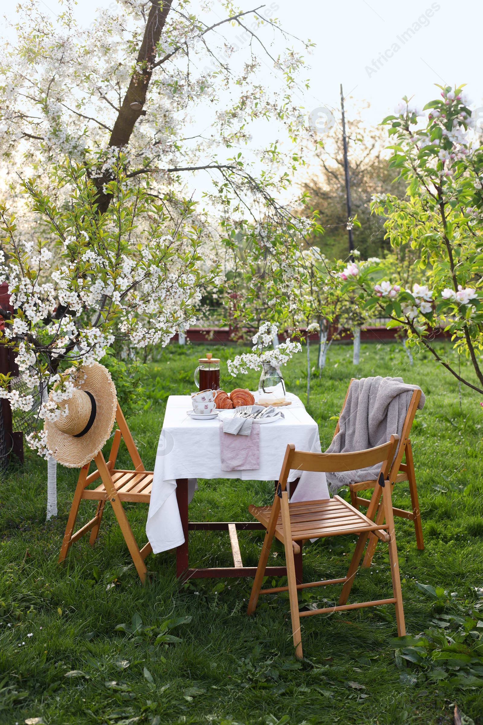 Photo of Stylish table setting with beautiful spring flowers, tea and croissants in garden