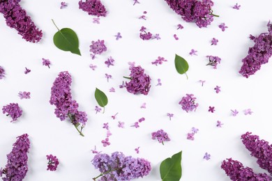 Photo of Flat lay composition with beautiful lilac flowers on white background