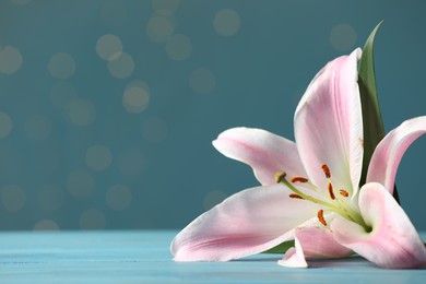 Beautiful pink lily flower on turquoise table against blurred lights, space for text