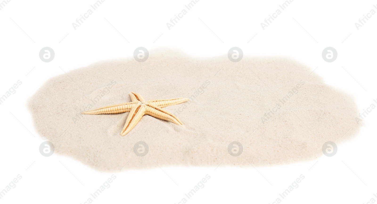 Photo of Pile of beach sand with beautiful starfish on white background