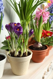 Different beautiful potted flowers on table near white wall