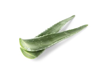 Green aloe vera leaves isolated on white