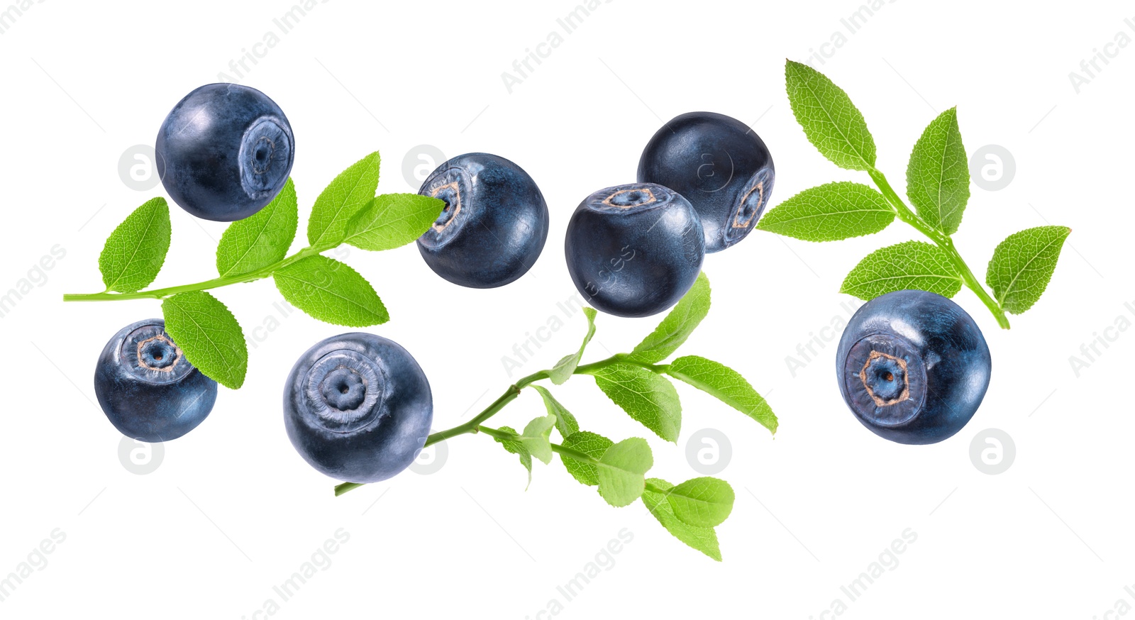 Image of Fresh ripe bilberries and green leaves flying on white background