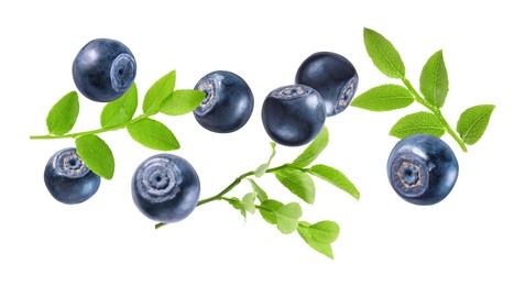 Image of Fresh ripe bilberries and green leaves flying on white background