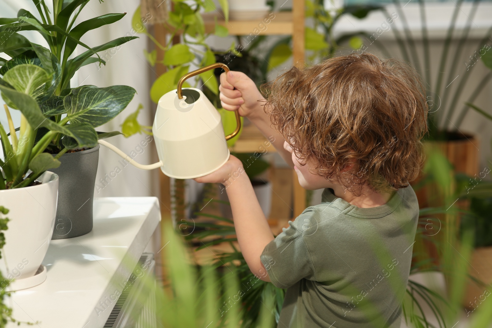 Photo of Cute little boy watering beautiful green plant on windowsill at home. House decor