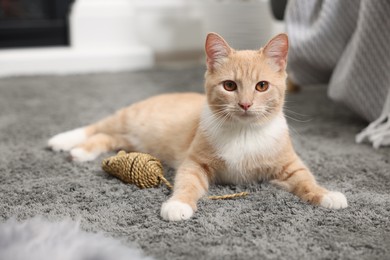 Photo of Cute ginger cat lying with toy mouse on grey carpet at home