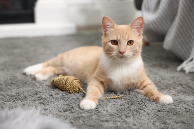 Cute ginger cat lying with toy mouse on grey carpet at home