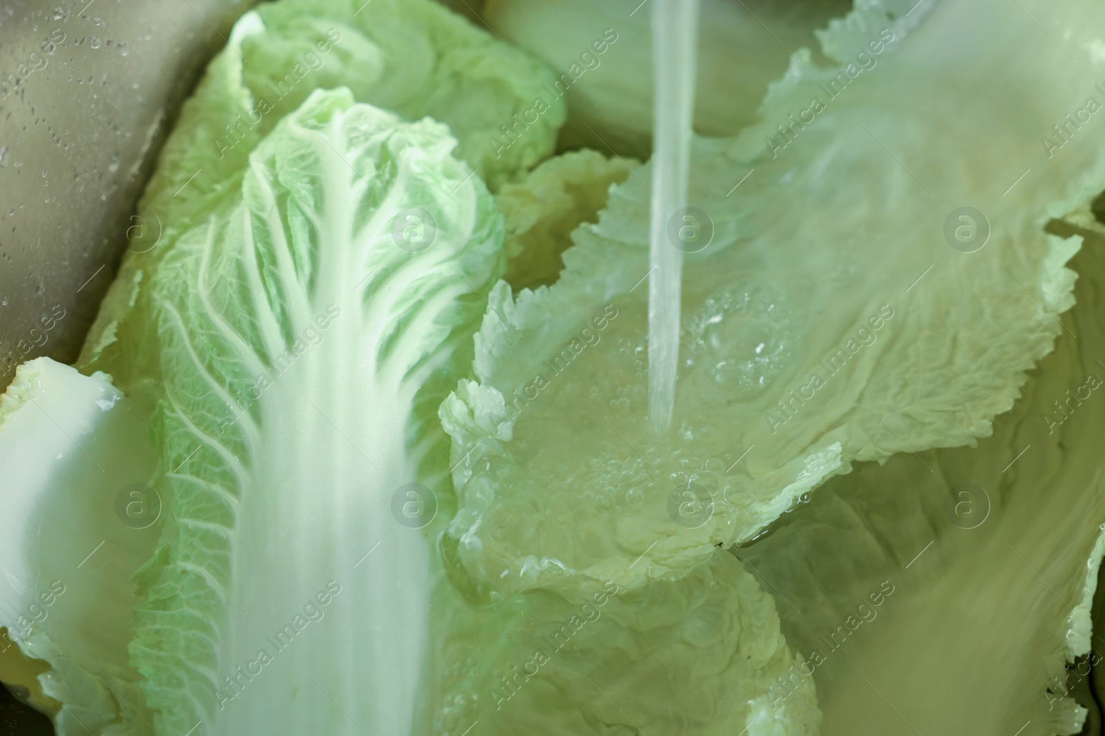 Photo of Pouring tap water on Chinese cabbage leaves in sink, closeup