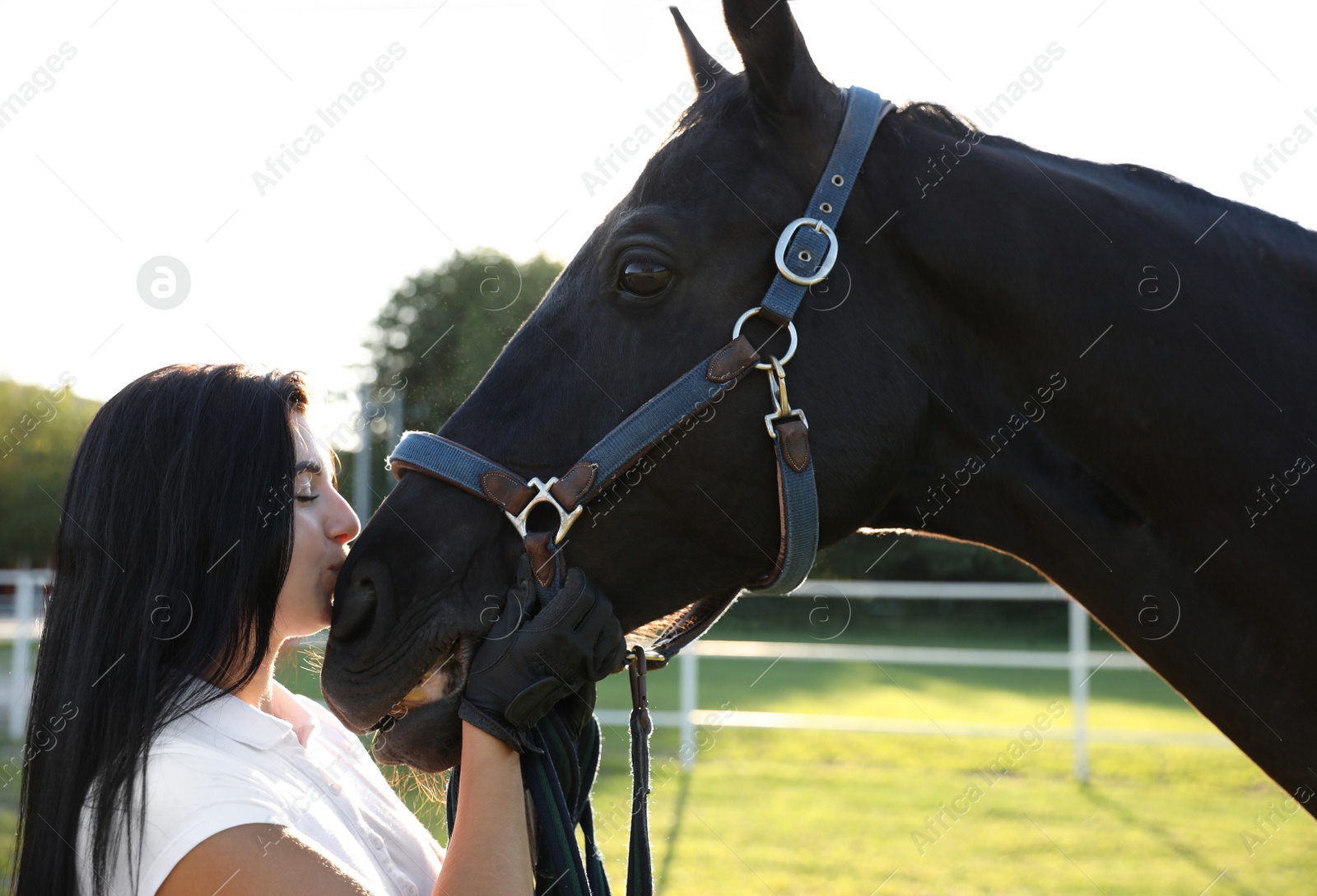 Photo of Young woman in horse riding suit and her beautiful pet outdoors on sunny day