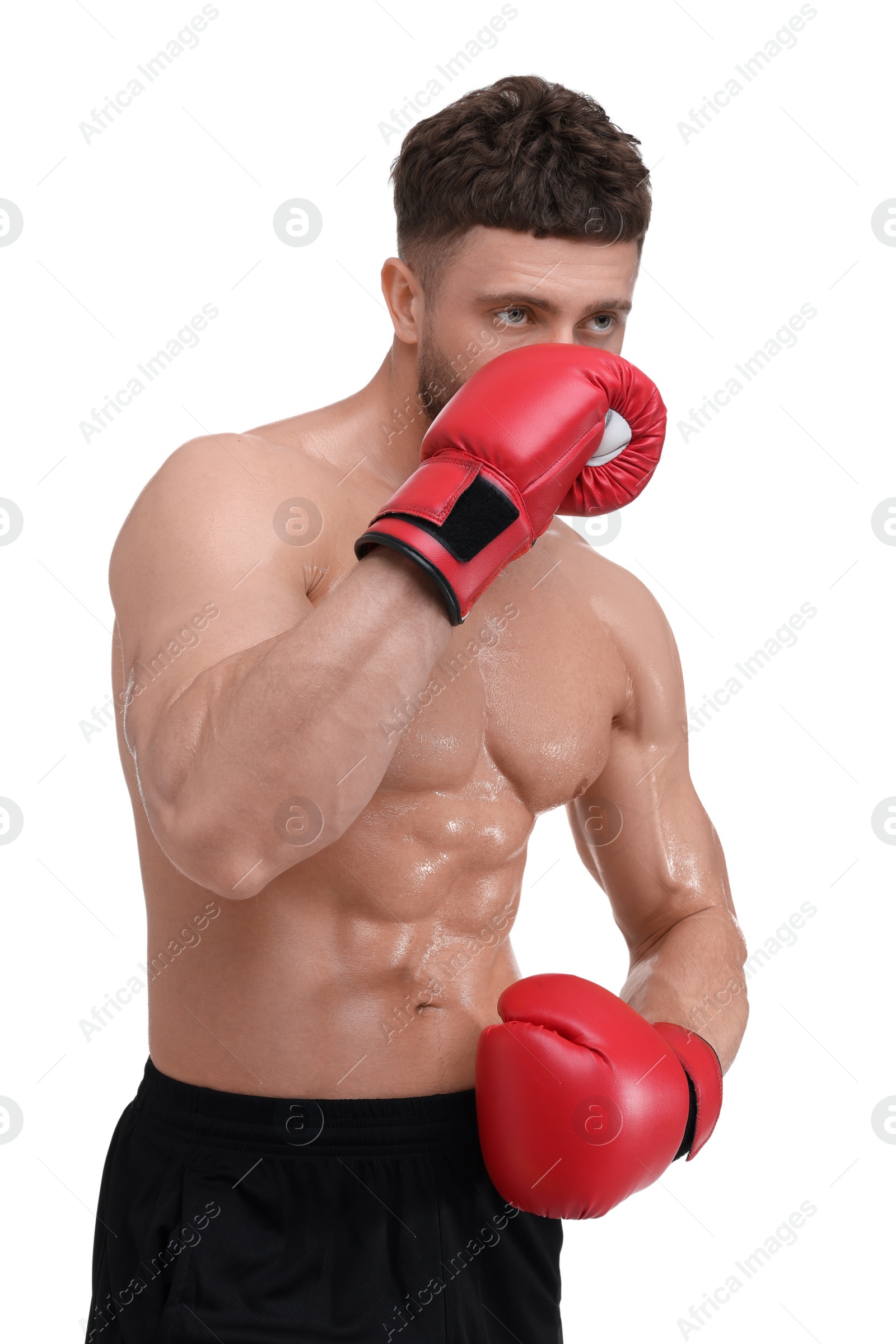 Photo of Man in boxing gloves on white background