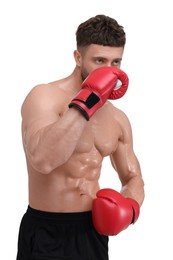 Man in boxing gloves on white background