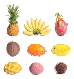Set with different delicious exotic fruits on white background 