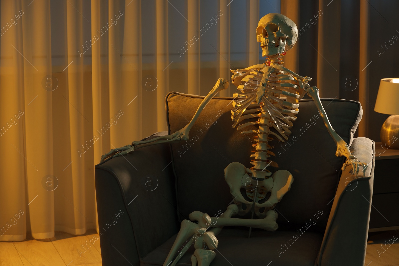 Photo of Waiting concept. Human skeleton sitting in armchair indoors, space for text