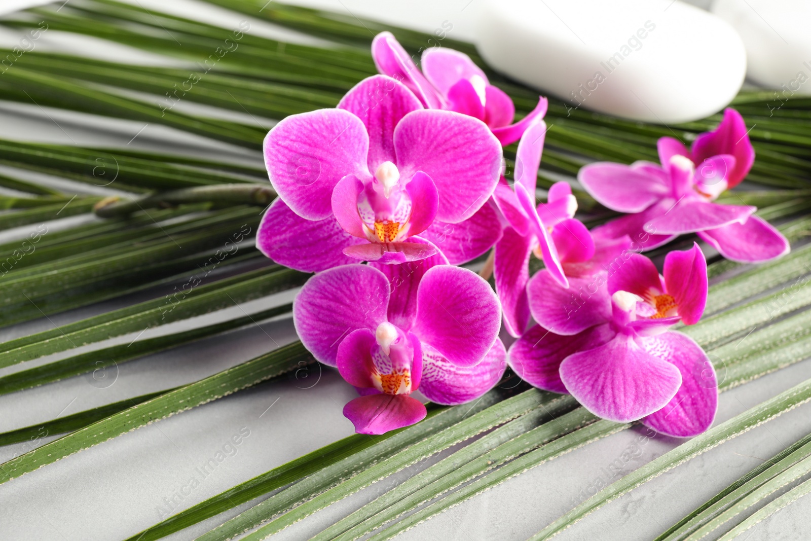 Photo of Orchid flowers, spa stones and green tropical leaf on grey table