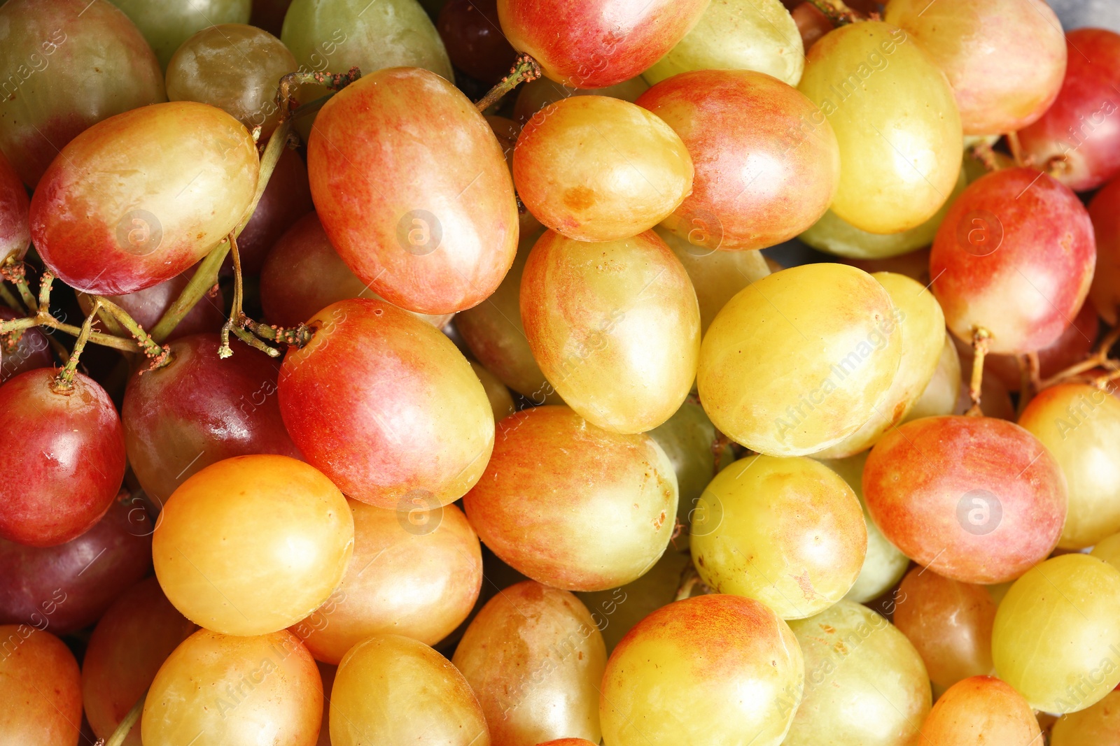 Photo of Fresh ripe juicy grapes as background, closeup