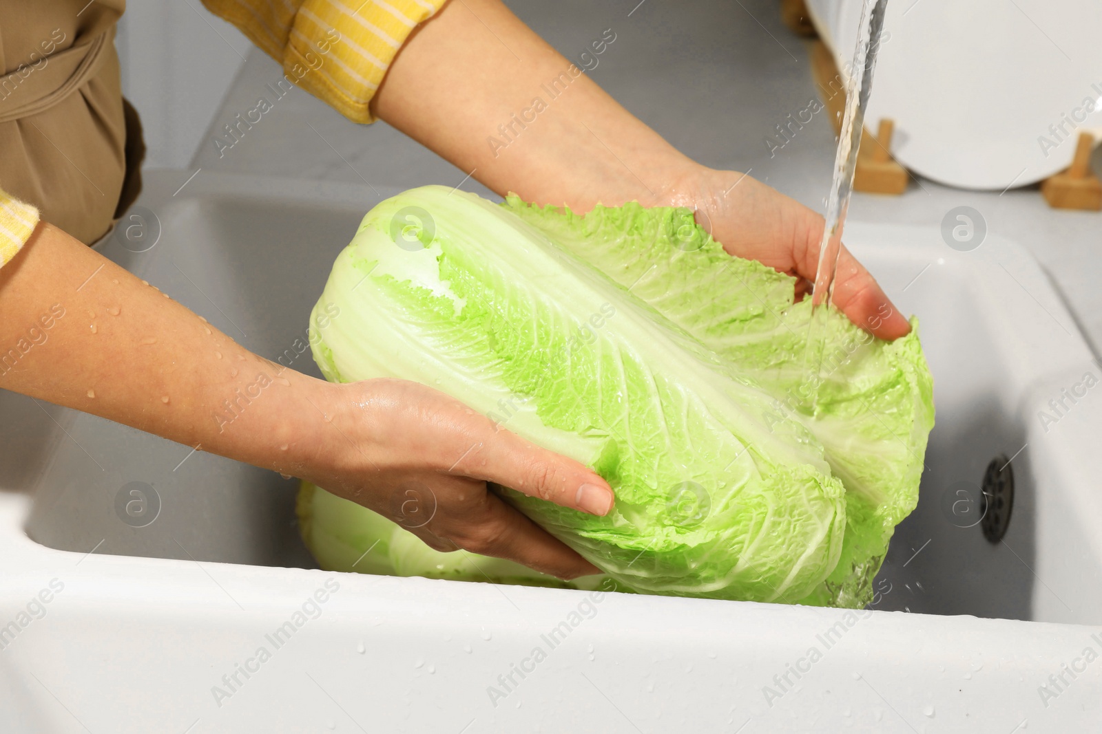 Photo of Woman washing fresh chinese cabbage under tap water in kitchen sink, closeup