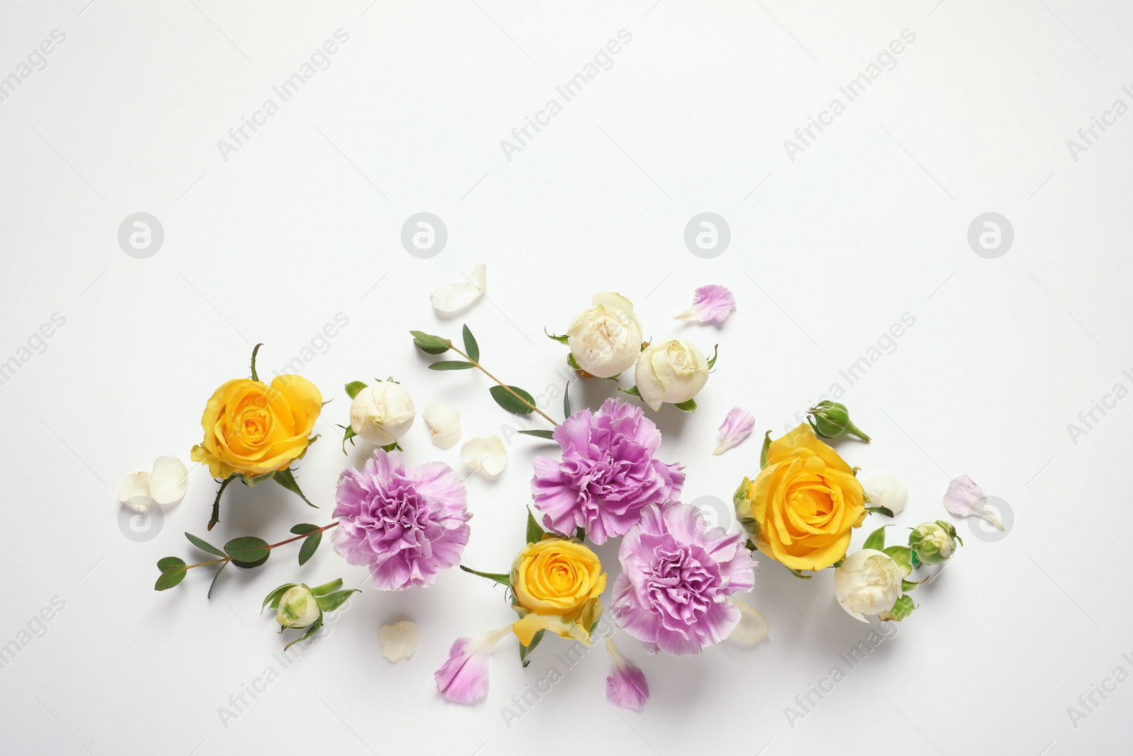 Photo of Flat lay composition with beautiful blooming flowers on white background