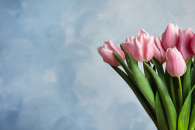 Beautiful pink spring tulips on light blue background. Space for text