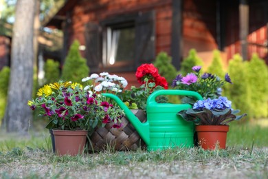 Photo of Beautiful blooming flowers and watering can on green grass in garden