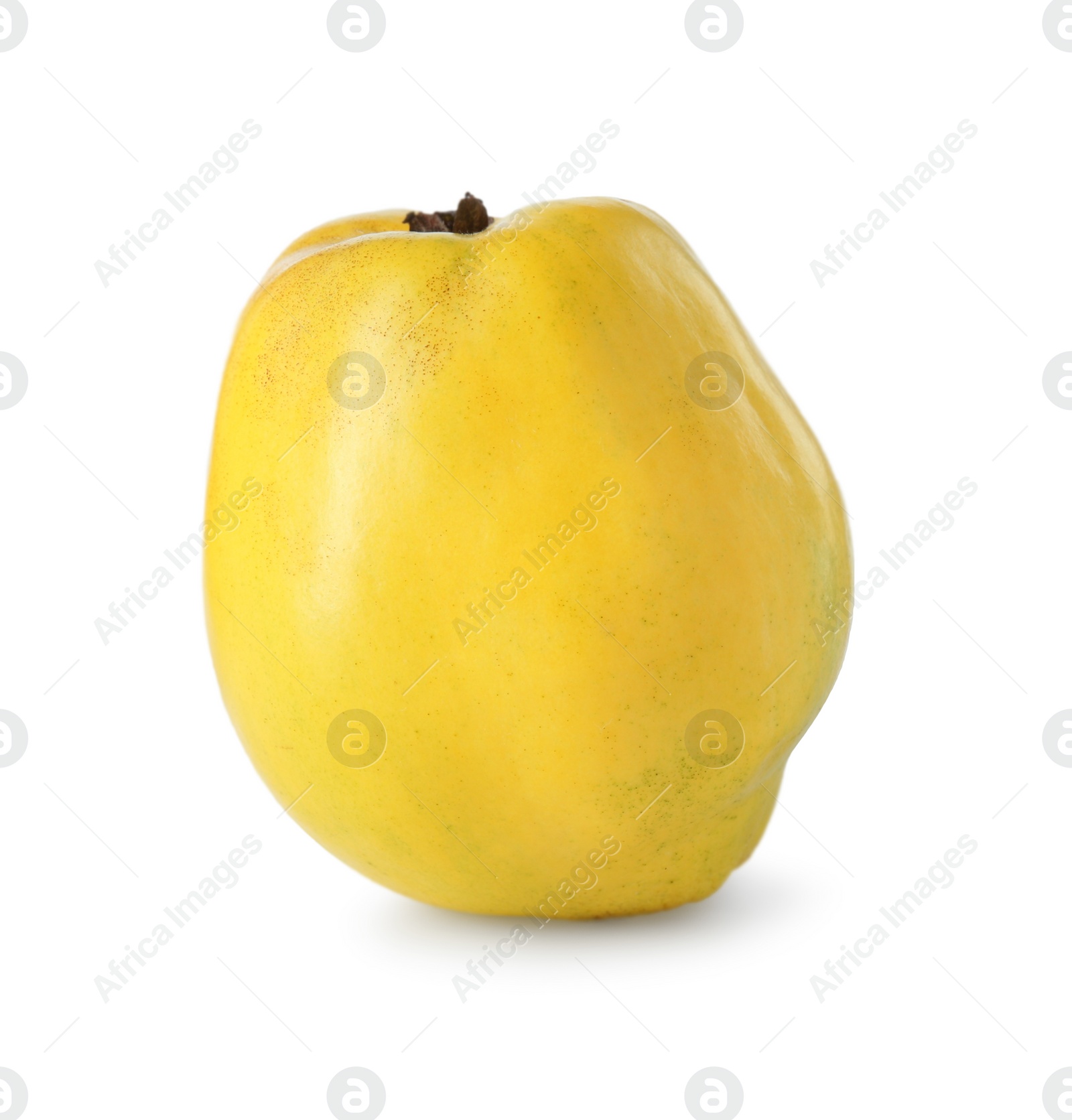 Photo of Delicious fresh ripe quince isolated on white