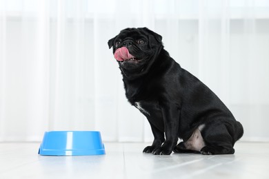 Cute Pug dog eating from plastic bowl in room, space for text