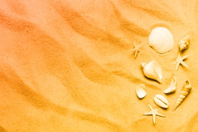 Image of Beautiful seashells and starfish on beach sand, flat lay. Space for text