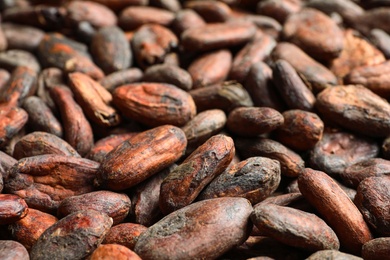 Photo of Tasty cocoa beans as background, closeup view