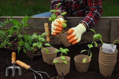Photo of Woman transplanting seedling from container in soil outdoors, closeup