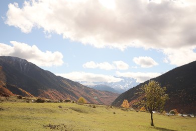 Photo of Picturesque view of mountain landscape with forest and meadow under cloudy sky