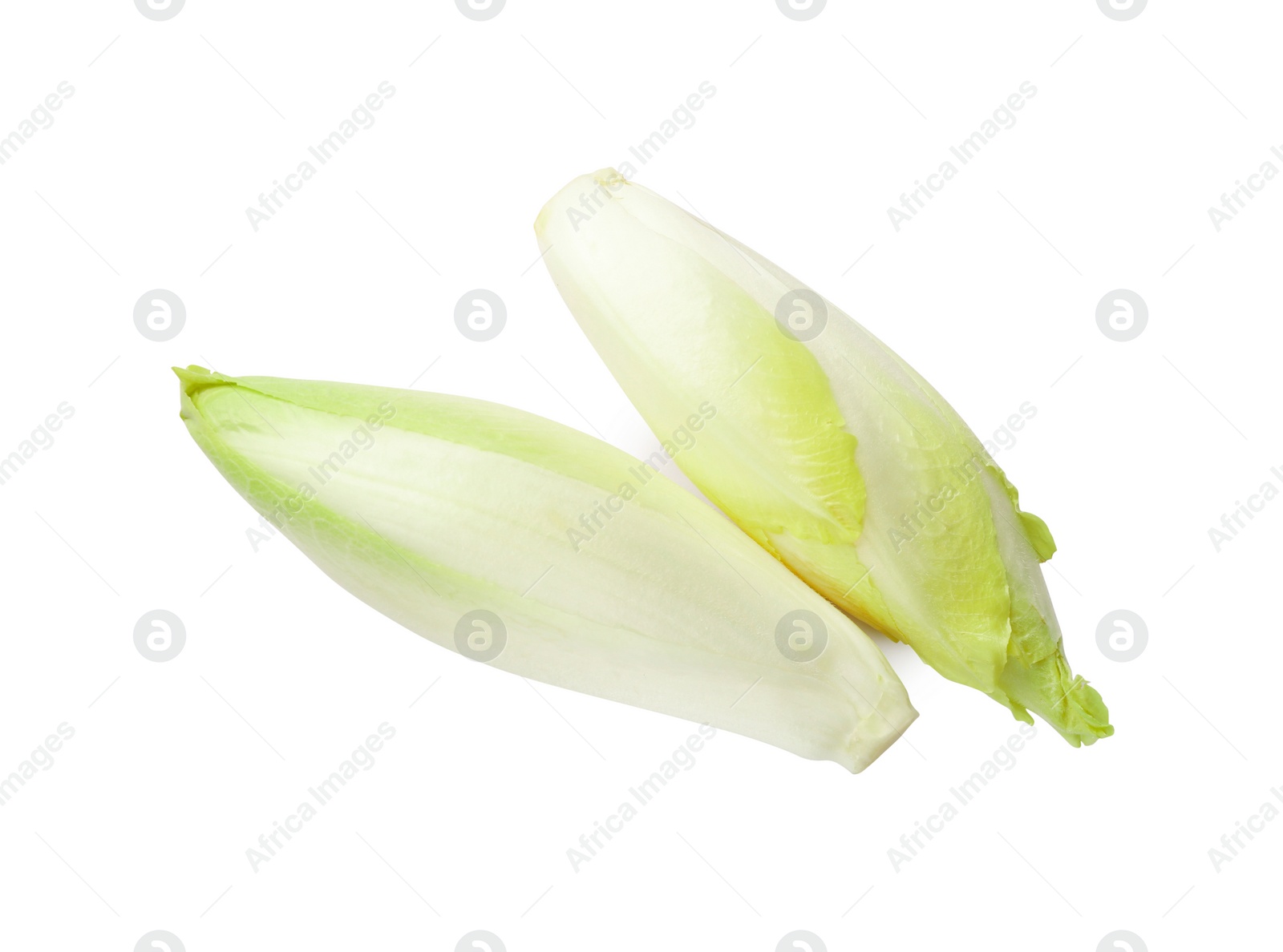 Photo of Raw ripe chicories on white background, top view