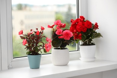 Different beautiful flowers in pots on windowsill indoors